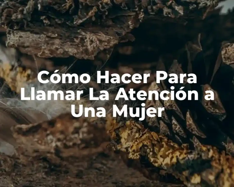 Cómo Hacer Para Llamar La Atención a Una Mujer