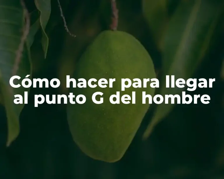 Cómo hacer para llegar al punto G del hombre