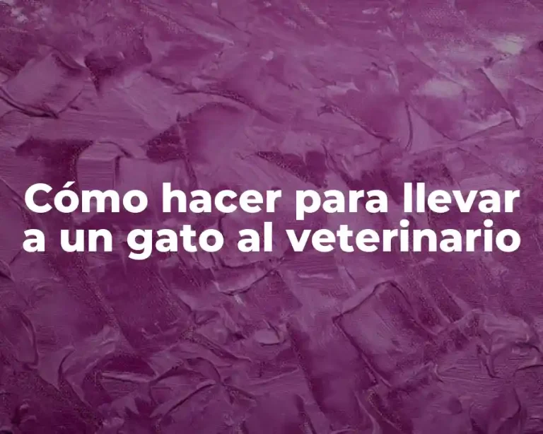 Cómo hacer para llevar a un gato al veterinario