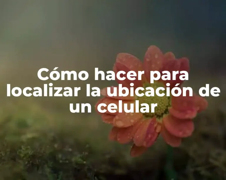 Cómo hacer para localizar la ubicación de un celular