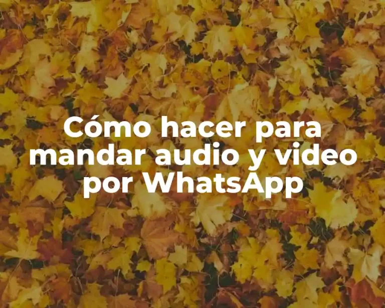 Cómo hacer para mandar audio y video por WhatsApp