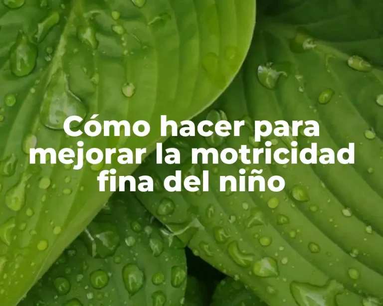 Cómo hacer para mejorar la motricidad fina del niño