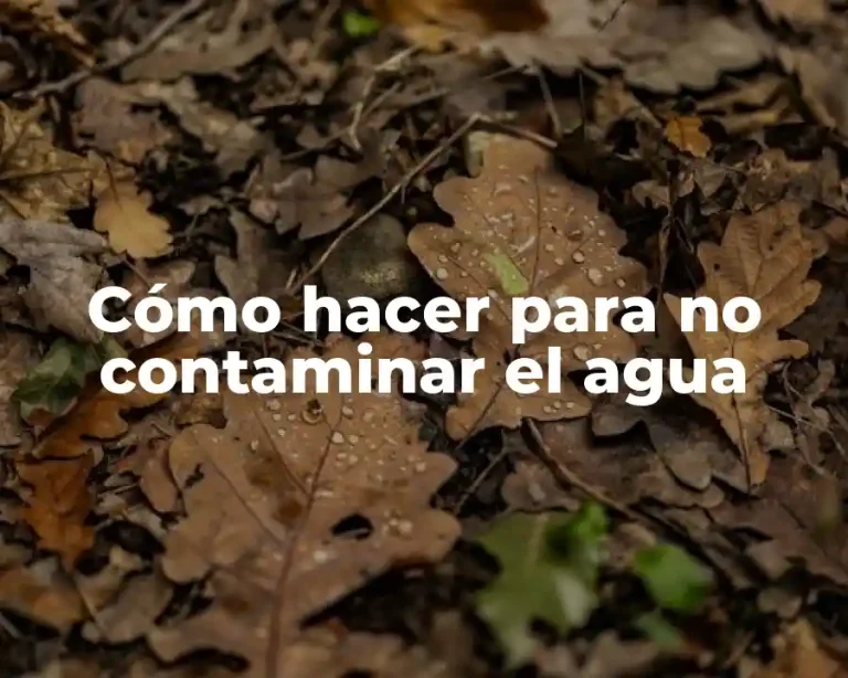 Cómo hacer para no contaminar el agua