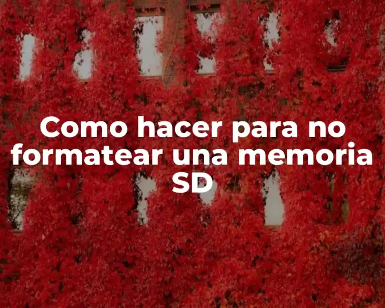 Como hacer para no formatear una memoria SD
