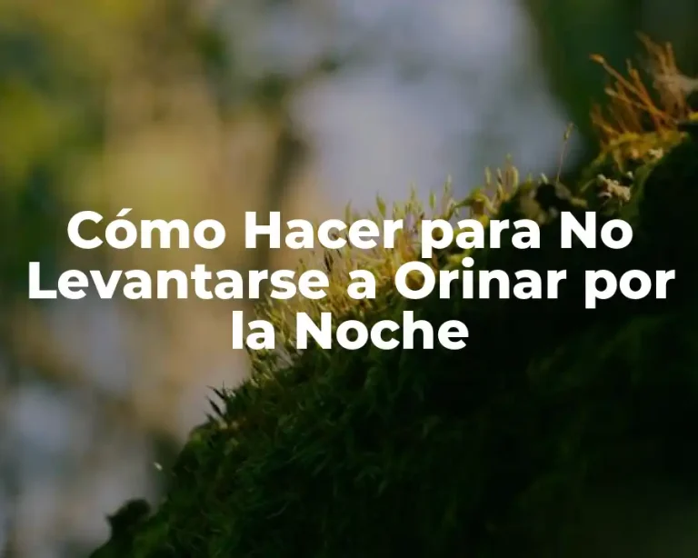 Cómo Hacer para No Levantarse a Orinar por la Noche