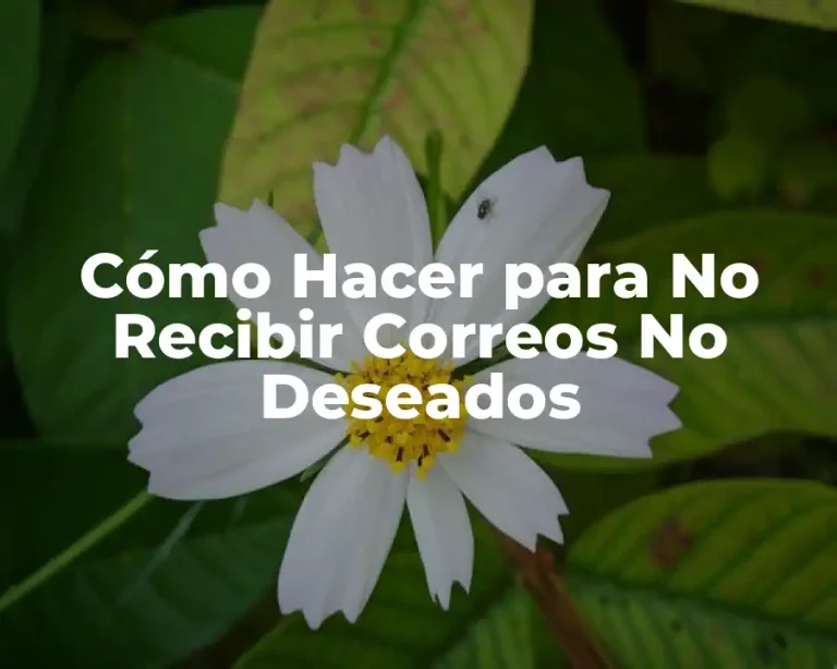 Cómo Hacer para No Recibir Correos No Deseados