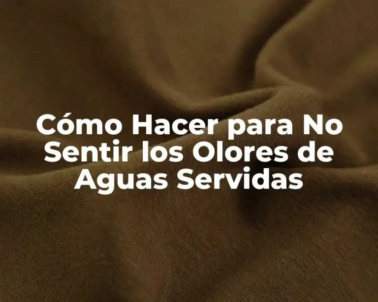 Cómo Hacer para No Sentir los Olores de Aguas Servidas