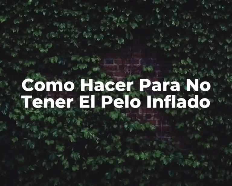 Como Hacer Para No Tener El Pelo Inflado