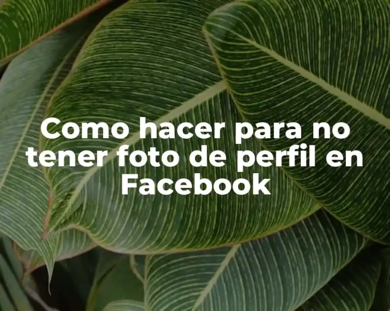 Como hacer para no tener foto de perfil en Facebook