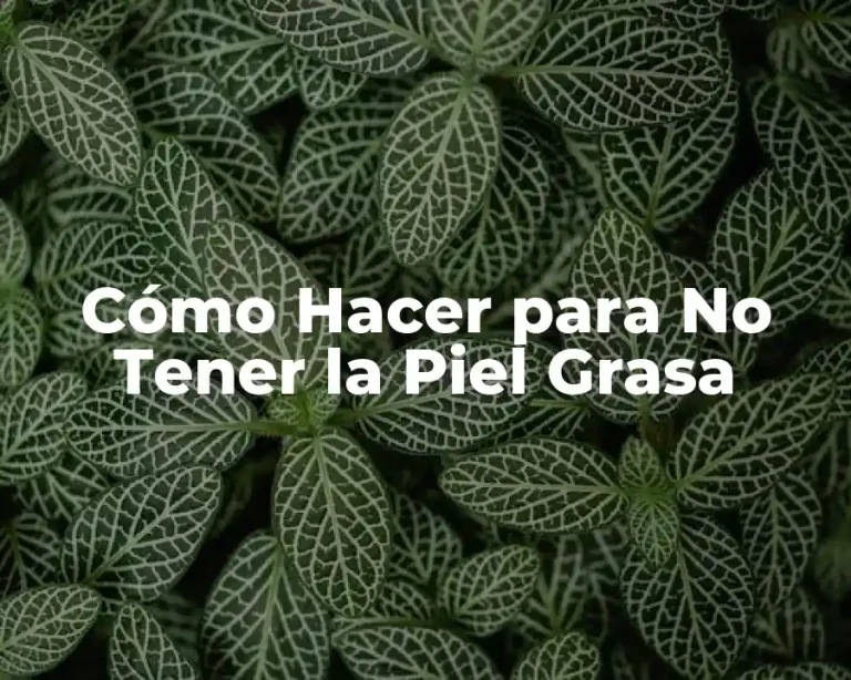 Cómo Hacer para No Tener la Piel Grasa