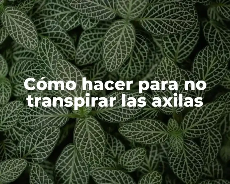Cómo hacer para no transpirar las axilas