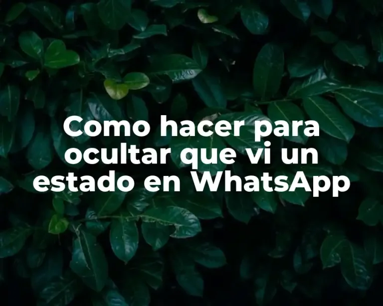 Como hacer para ocultar que vi un estado en WhatsApp