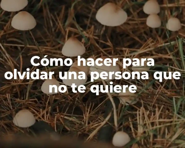 Cómo hacer para olvidar una persona que no te quiere