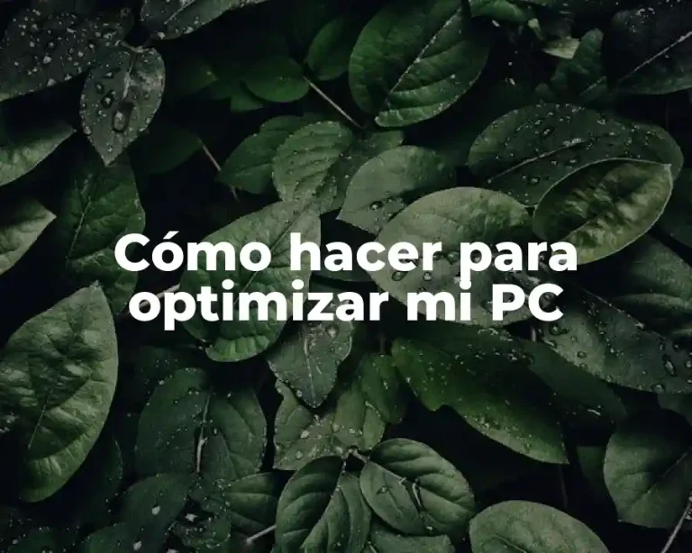 Cómo hacer para optimizar mi PC