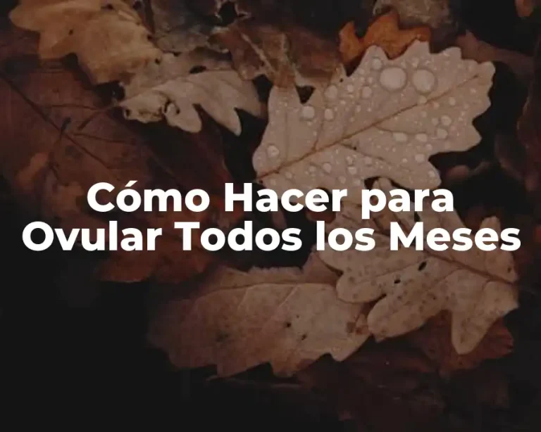Cómo Hacer para Ovular Todos los Meses