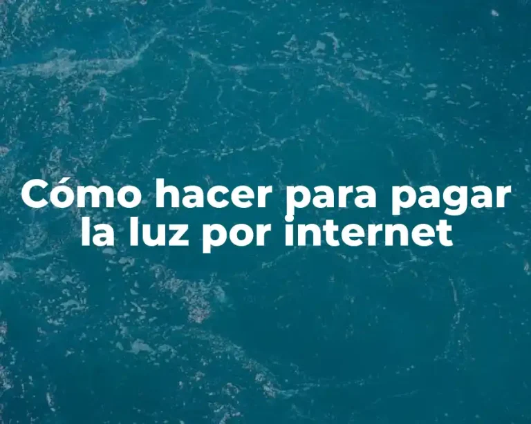 Cómo hacer para pagar la luz por internet