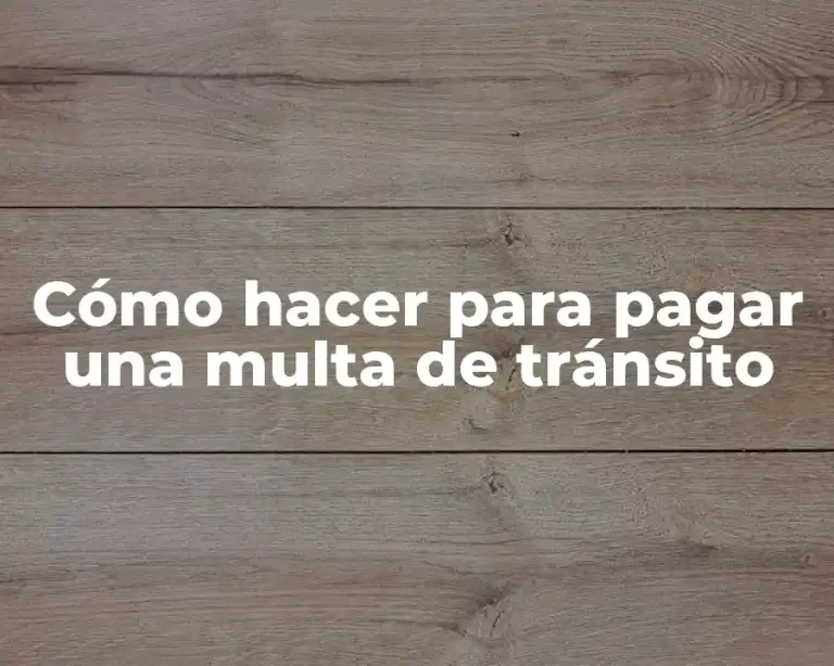 Cómo hacer para pagar una multa de tránsito