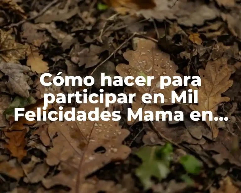 Cómo hacer para participar en Mil Felicidades Mama en Bolivisión