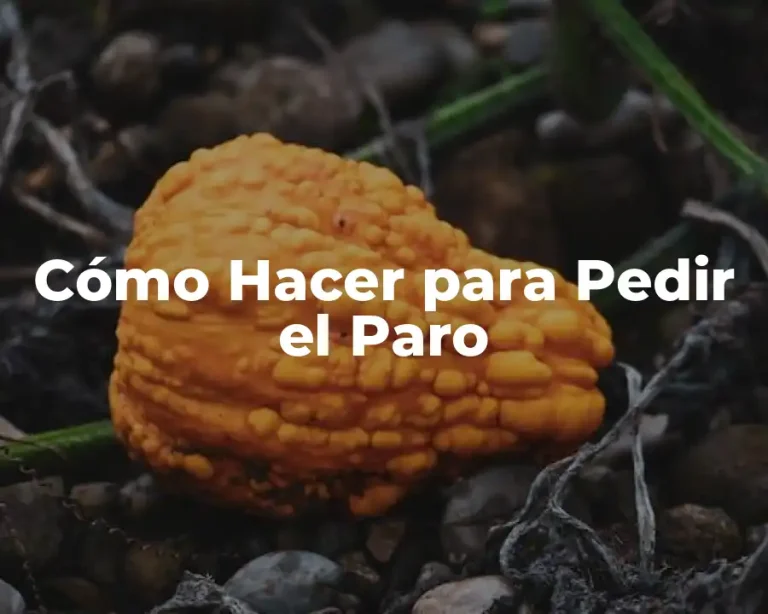 Cómo Hacer para Pedir el Paro
