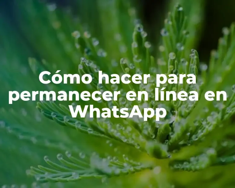 Cómo hacer para permanecer en línea en WhatsApp