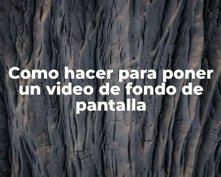 Como hacer para poner un video de fondo de pantalla