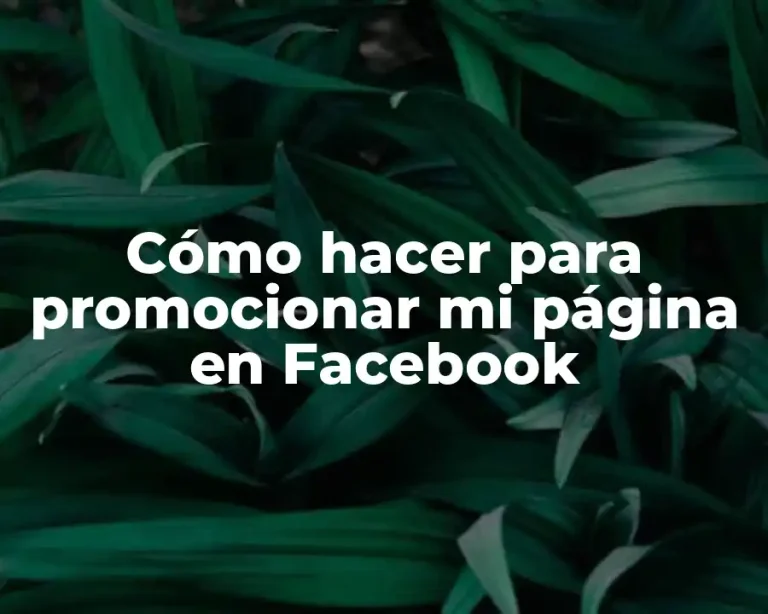 Cómo hacer para promocionar mi página en Facebook