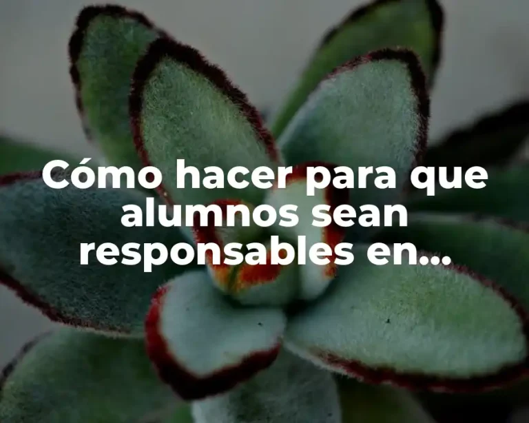 Cómo hacer para que alumnos sean responsables en matemática