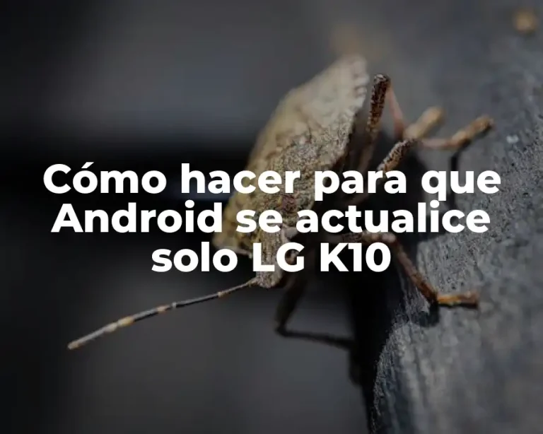 Cómo hacer para que Android se actualice solo LG K10