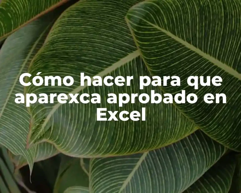 Cómo hacer para que aparexca aprobado en Excel