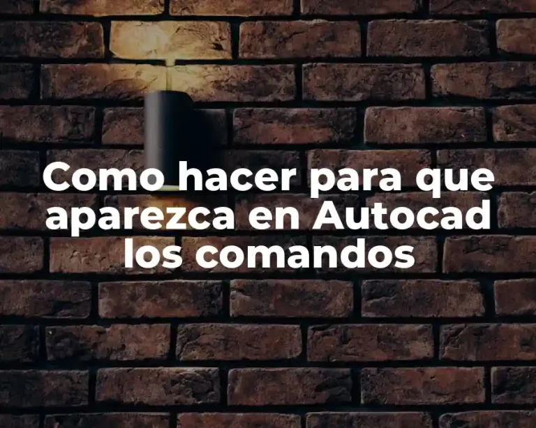Como hacer para que aparezca en Autocad los comandos