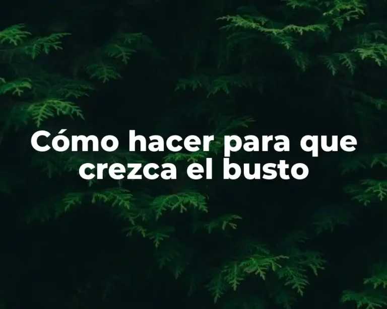 Cómo hacer para que crezca el busto
