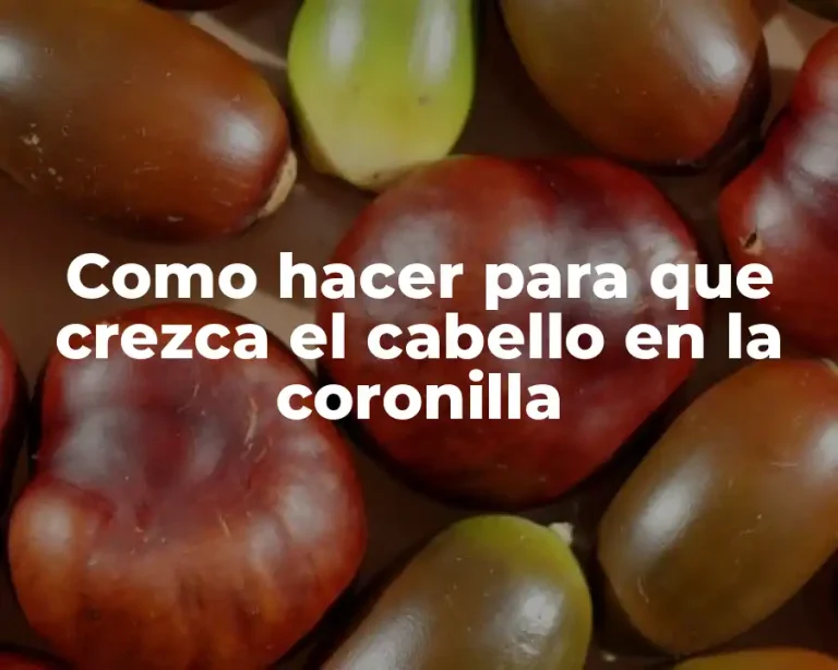 Como hacer para que crezca el cabello en la coronilla