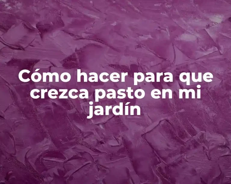 Cómo hacer para que crezca pasto en mi jardín