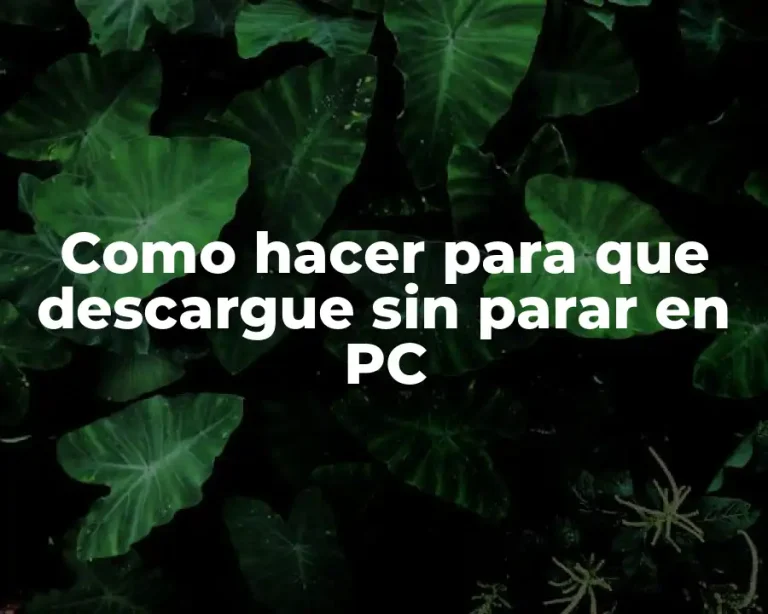 Como hacer para que descargue sin parar en PC