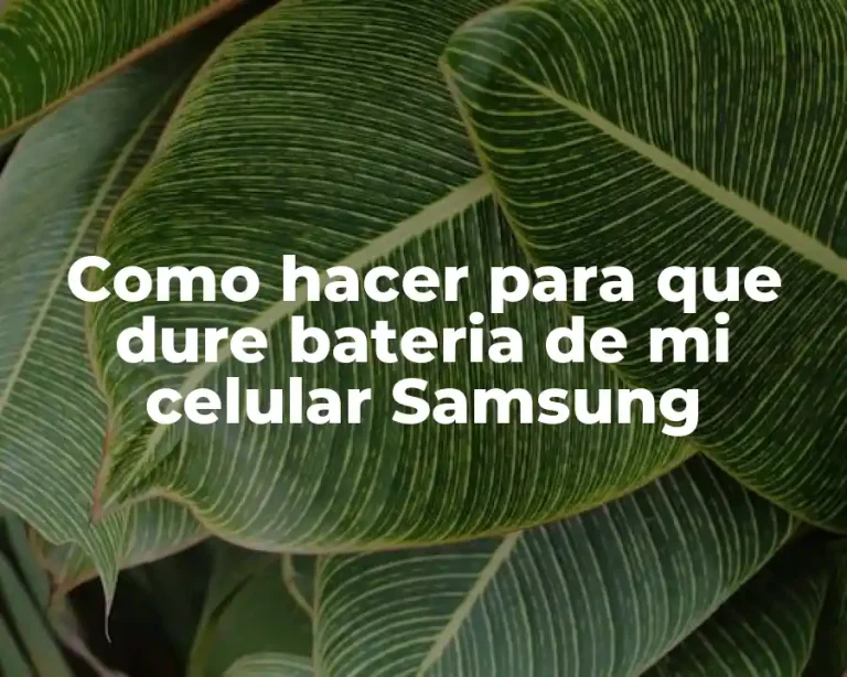 Como hacer para que dure bateria de mi celular Samsung