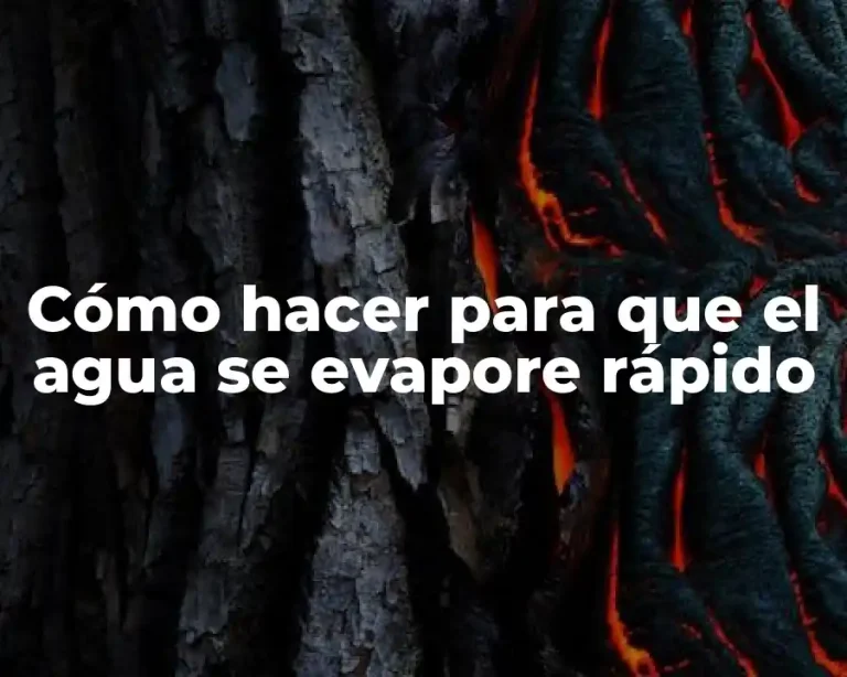 Cómo hacer para que el agua se evapore rápido