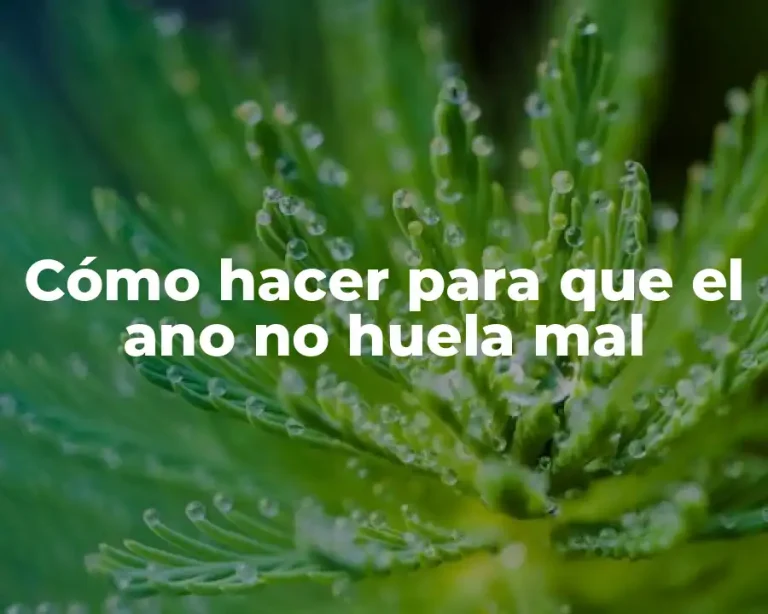 Cómo hacer para que el ano no huela mal