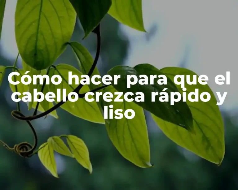 Cómo hacer para que el cabello crezca rápido y liso
