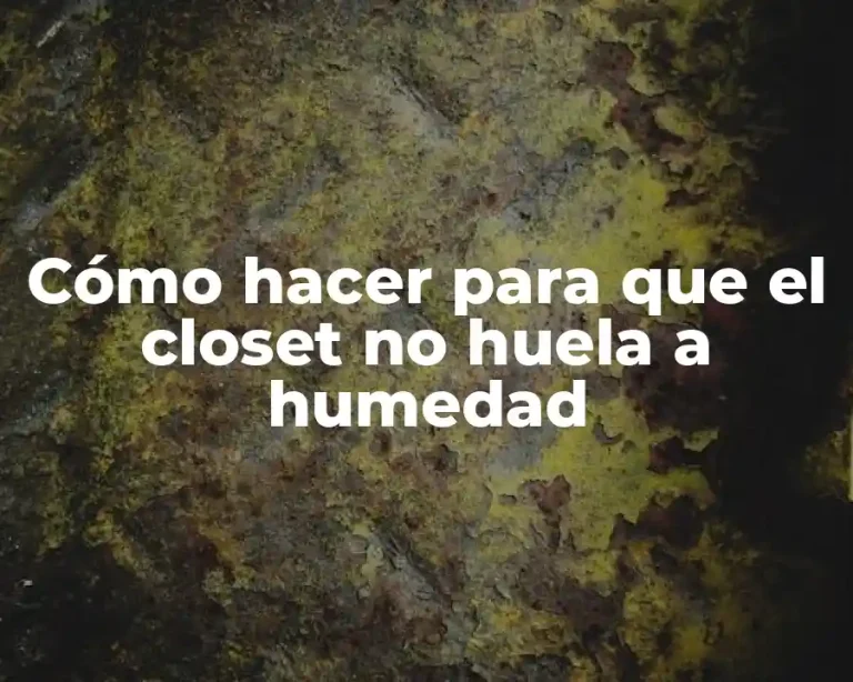 Cómo hacer para que el closet no huela a humedad