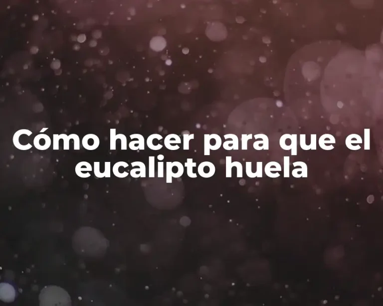 Cómo hacer para que el eucalipto huela