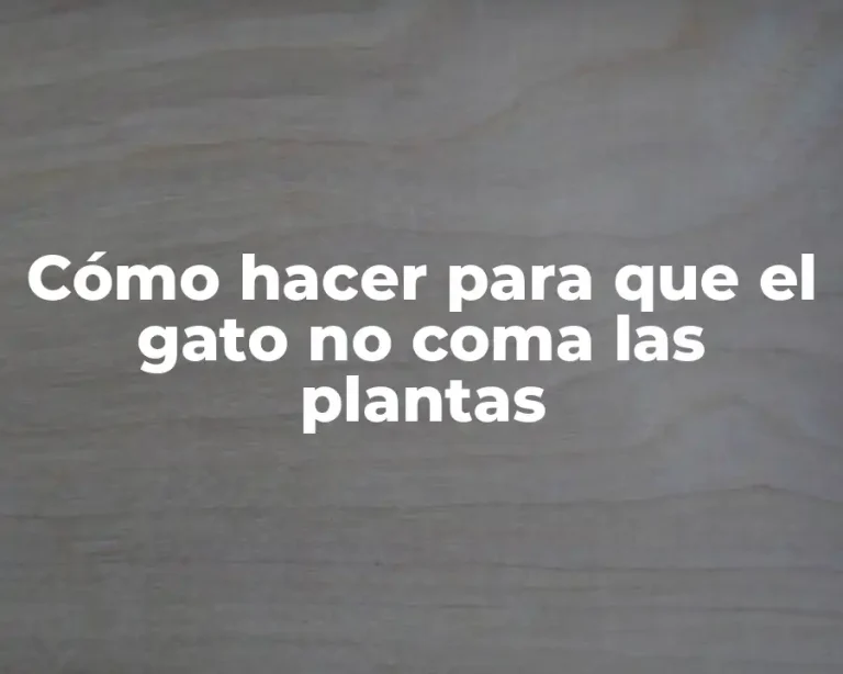 Cómo hacer para que el gato no coma las plantas