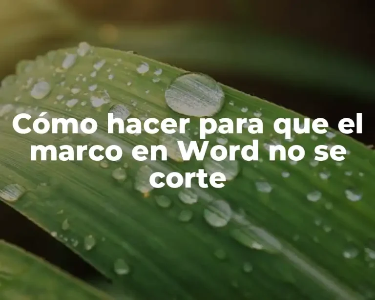 Cómo hacer para que el marco en Word no se corte