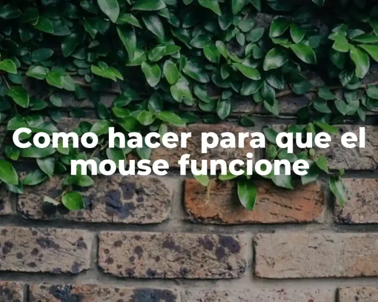 Como hacer para que el mouse funcione