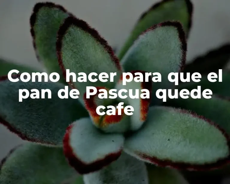 Como hacer para que el pan de Pascua quede cafe