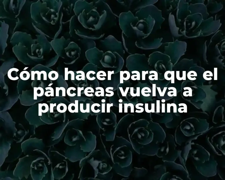 Cómo hacer para que el páncreas vuelva a producir insulina