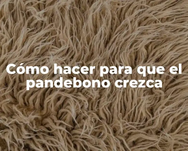 Cómo hacer para que el pandebono crezca