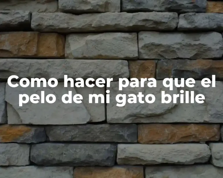 Como hacer para que el pelo de mi gato brille