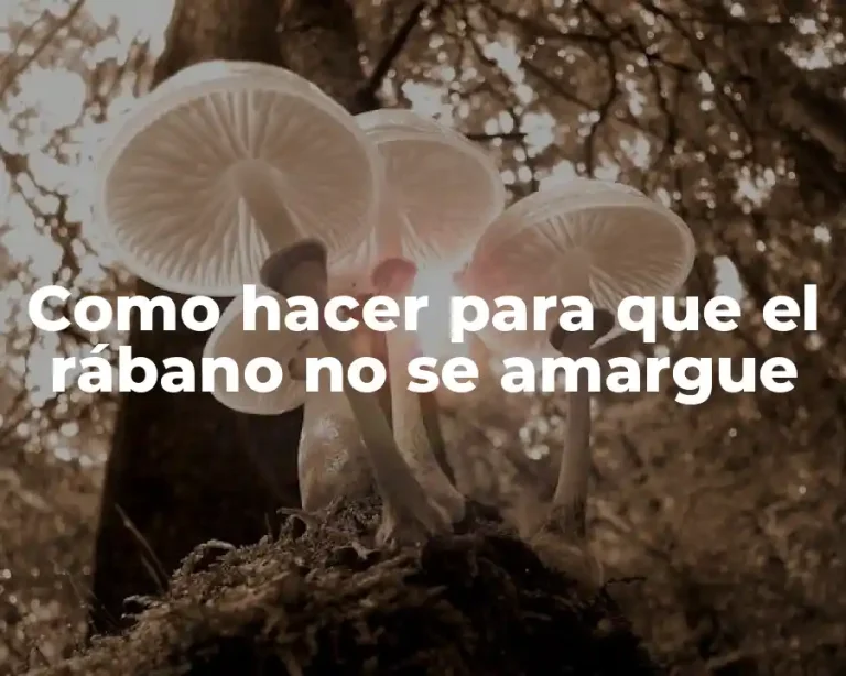 Como hacer para que el rábano no se amargue