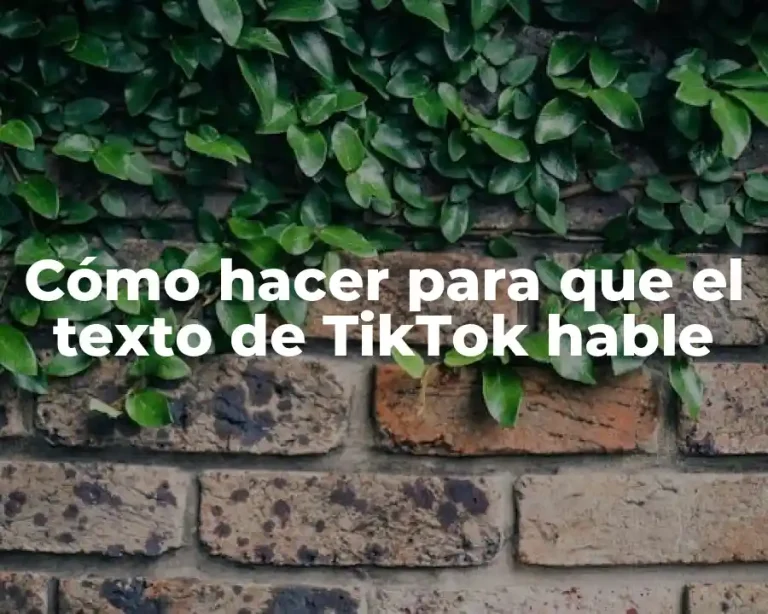 Cómo hacer para que el texto de TikTok hable