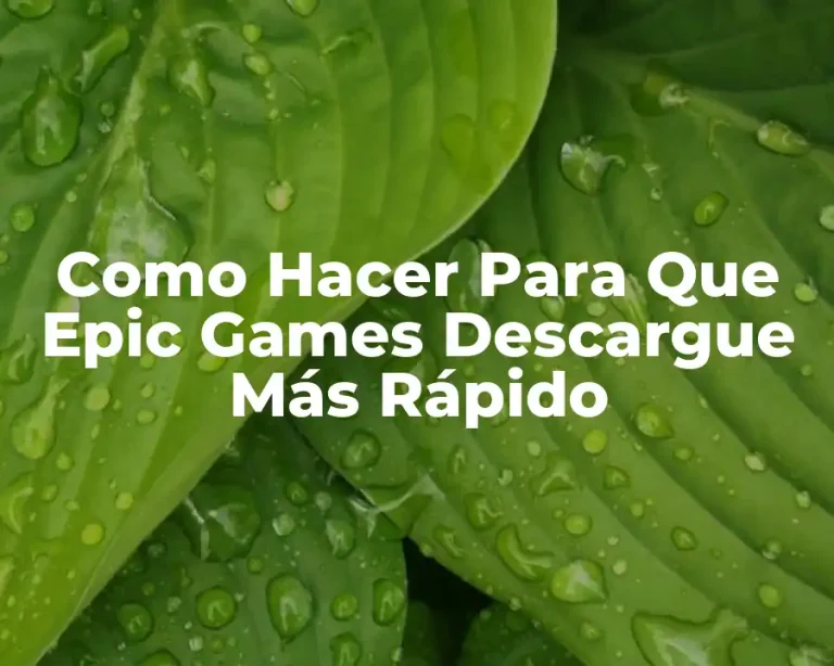 Como Hacer Para Que Epic Games Descargue Más Rápido